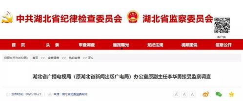 湖北新闻网爆料网,揭秘背后真相，聚焦社会热点