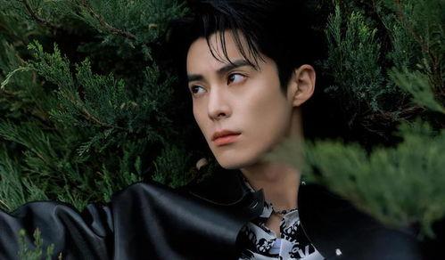 娱乐圈吃瓜爆料白鹿王鹤棣,甜蜜互动引粉丝热议  第2张